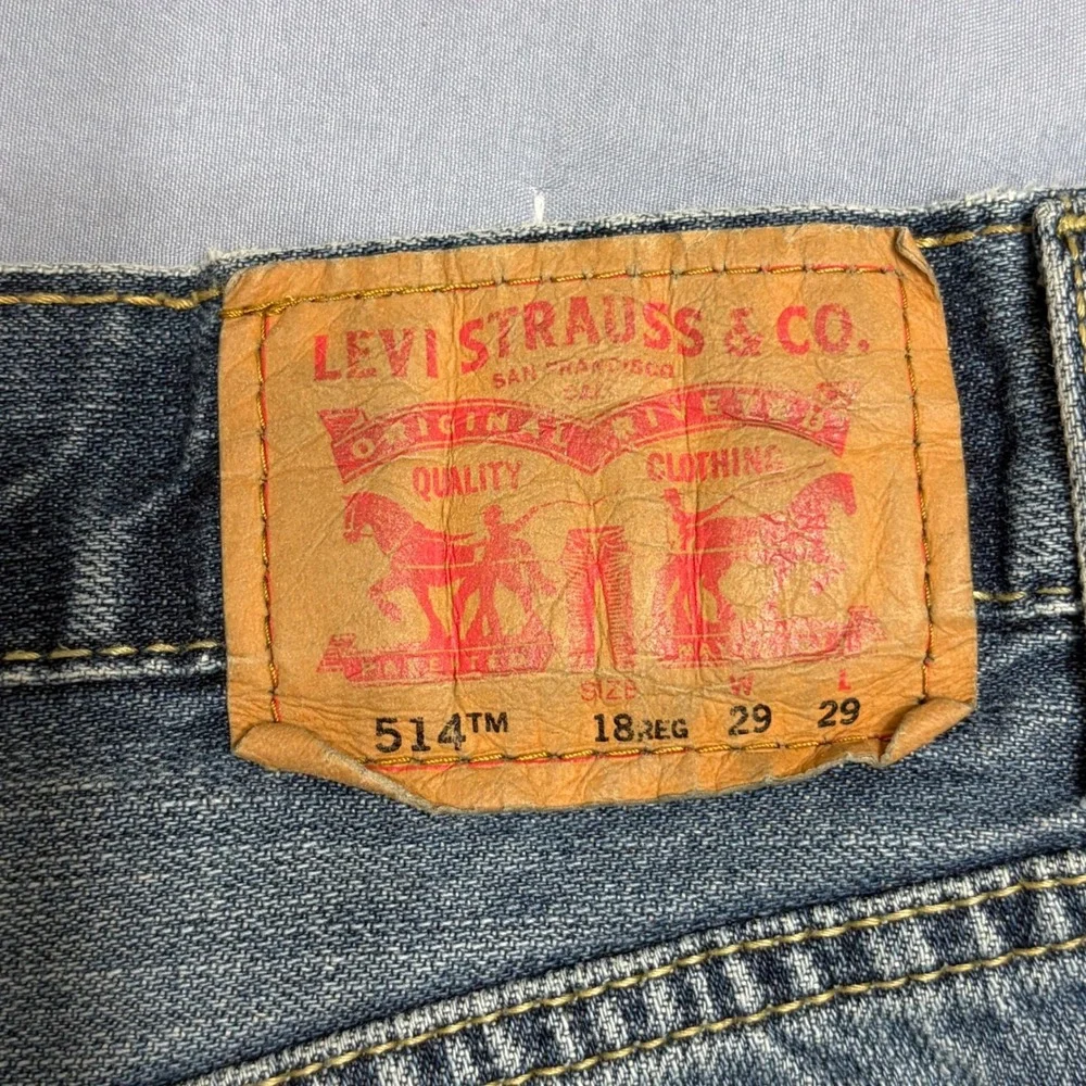 Levis levi strauss